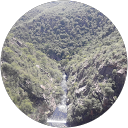 Rodolfo Aguirre profile picture